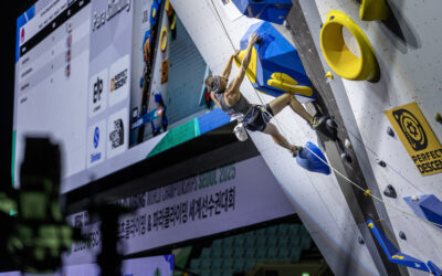 WM-Silbermedaille in Seoul